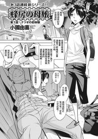 [Okuni Yoshinobu] Houbou no Oyako Ch. 1 Natsuo no Hatsutaiken (WEB Bazooka Vol. 29) [Chinese]