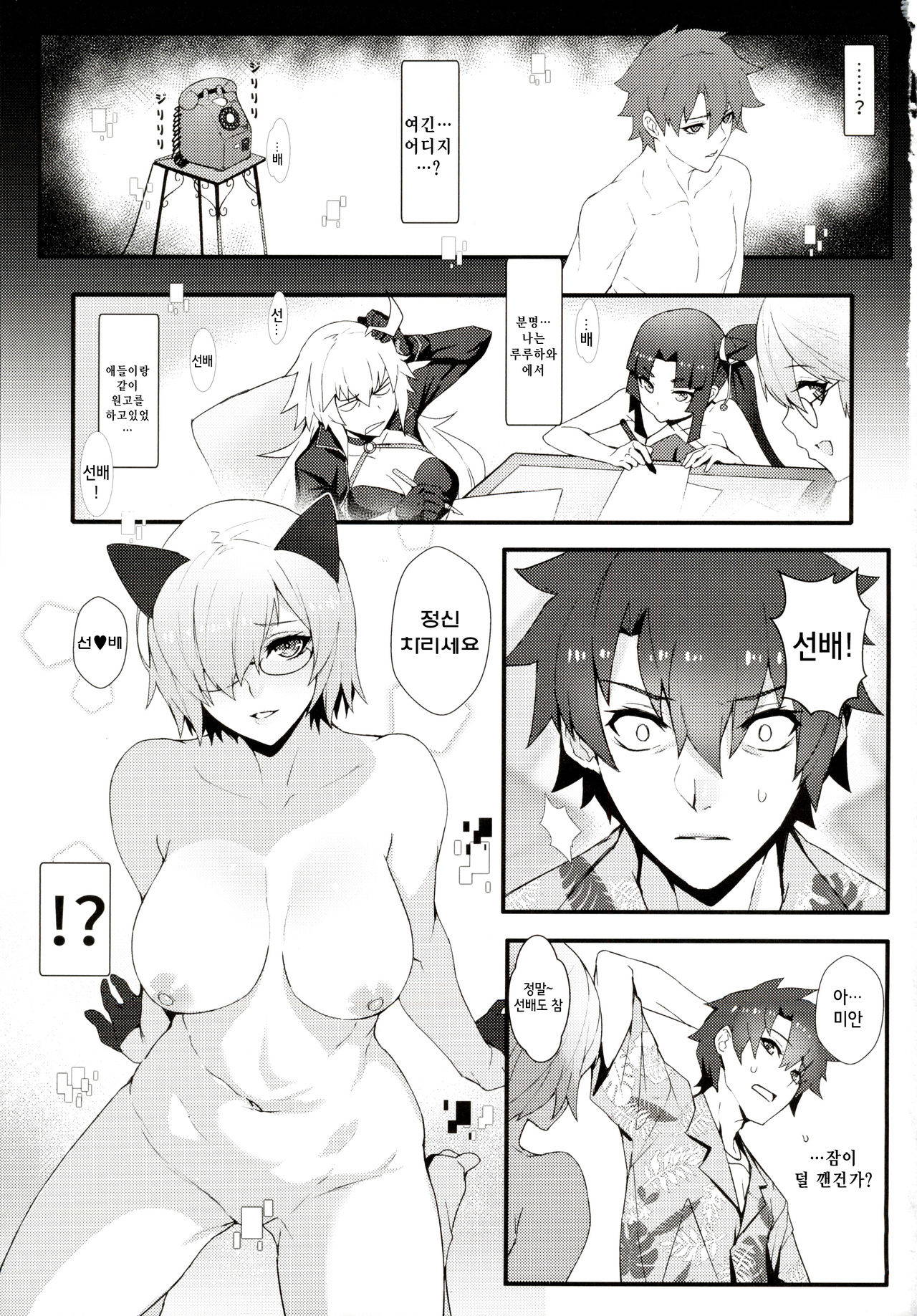 (C97) [Bansankan (Ban!)] critical (Fate/Grand Order) [Korean]