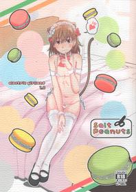 (C97) [Salt Peanuts (Niea)] Electric Girlland 1.0 (Toaru Kagaku no Railgun)