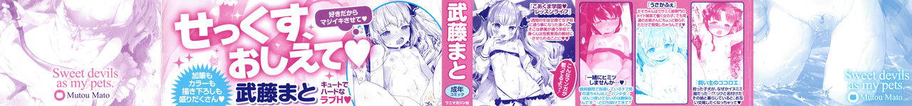 [Mutou Mato] Koakuma wa Shoudoubutsu - Sweet devils as my pets. color paper [Chinese] [D.E練習漢化]