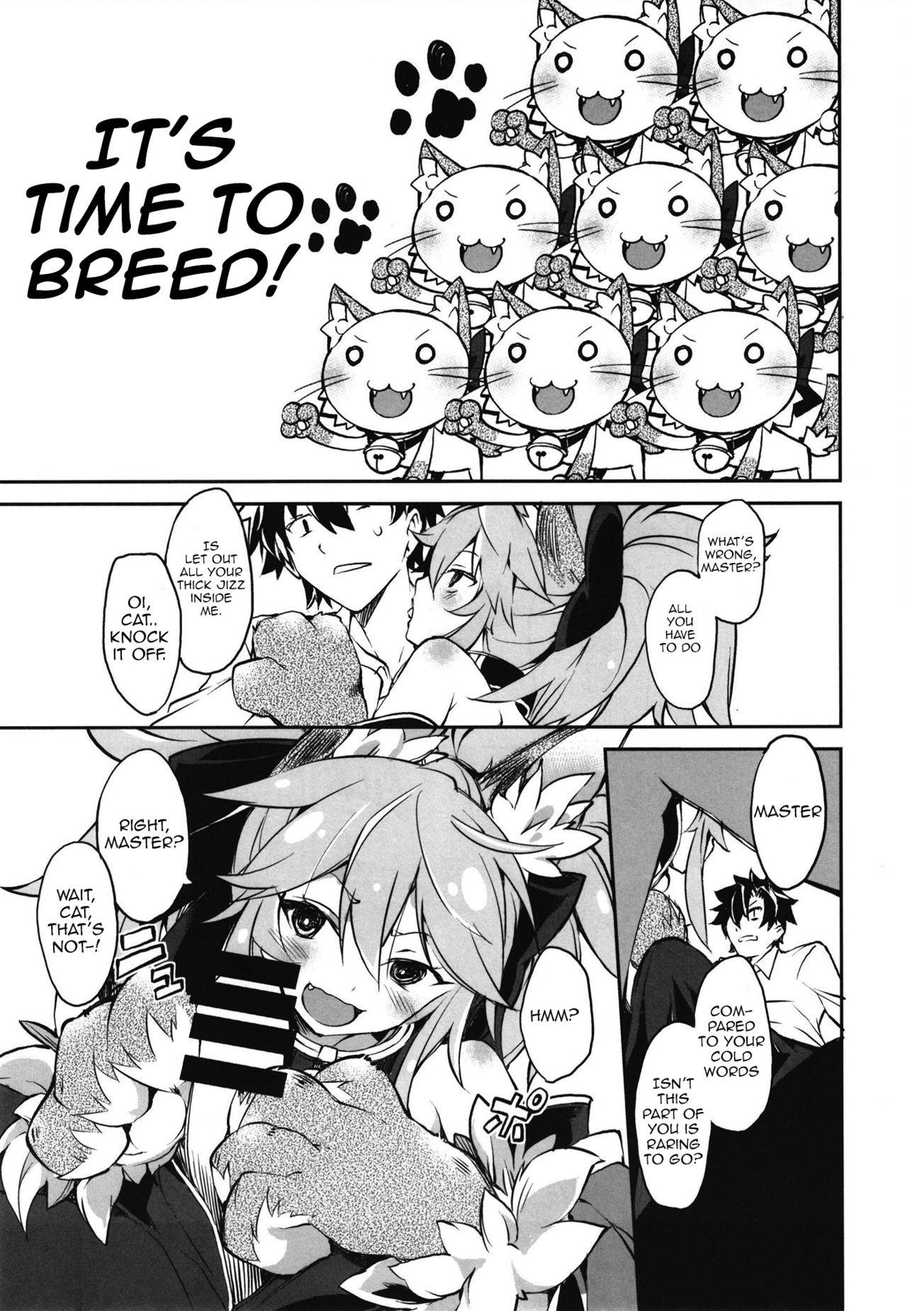 [Tomato Kanzume (Tomatomato)] Cat-chan Kozukuri Daisakusen | Cat-chan's Childmaking Grand Strategy (Fate/Grand Order) [English] [Kemonomimi Saikou] [Digital]