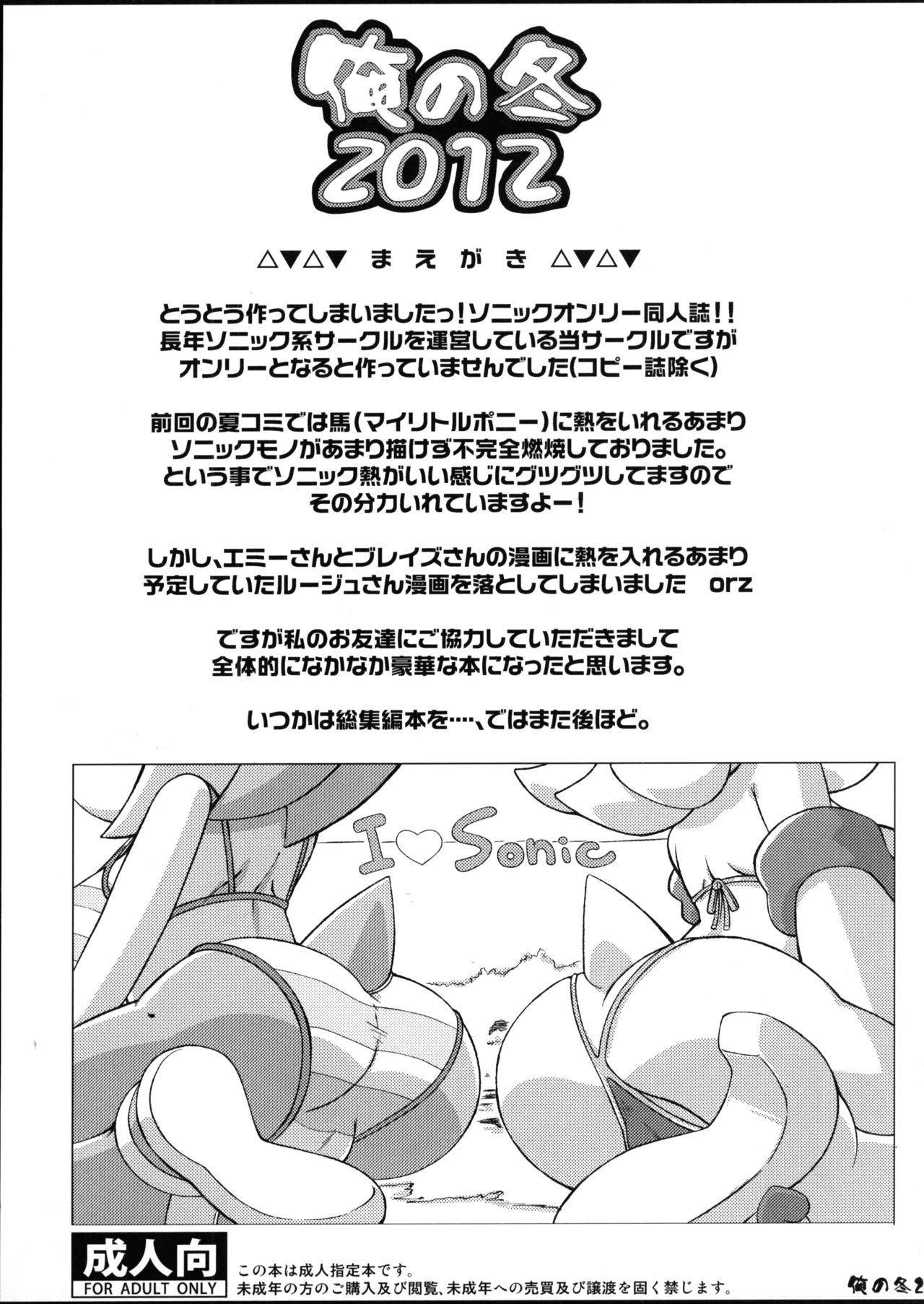 (C83) [Tengai Aku Juumonji (Various)] Ore no Fuyu 2012 (Sonic The Hedgehog) [English]