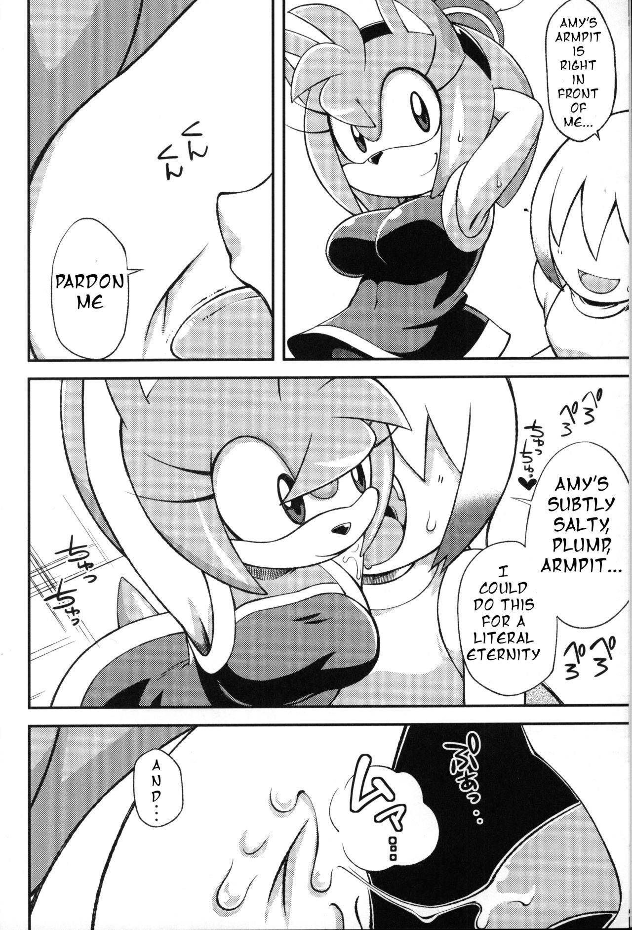 (C83) [Tengai Aku Juumonji (Various)] Ore no Fuyu 2012 (Sonic The Hedgehog) [English]