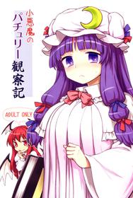 (C88) [110-GROOVE (Itou Yuuji)] Koakuma no Patchouli Kansatsuki (Touhou Project) [Chinese] [彷徨水面个人汉化]