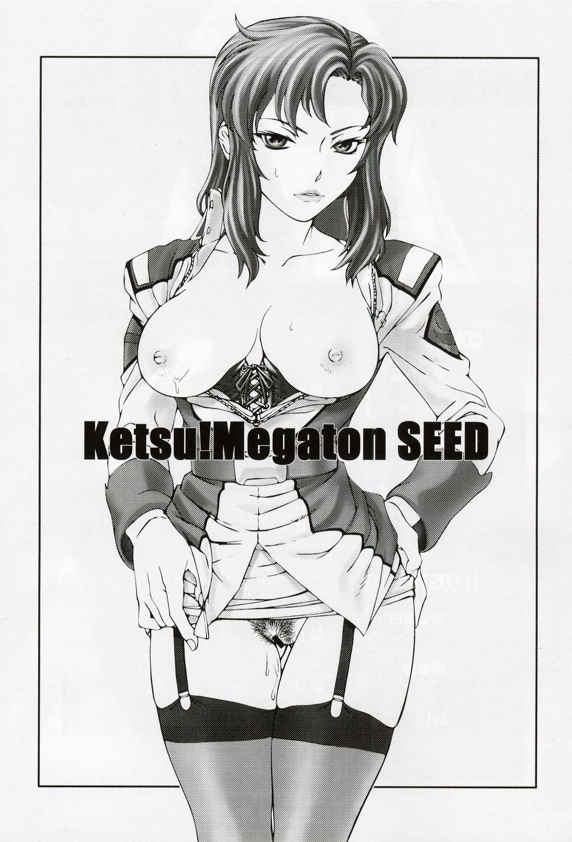 (C64) [Toluene Ittokan (Pierre Norano, Shinagawa Ham)] Ketsu Megaton Seed (Gundam Seed) [Chinese] 【零食汉化组】