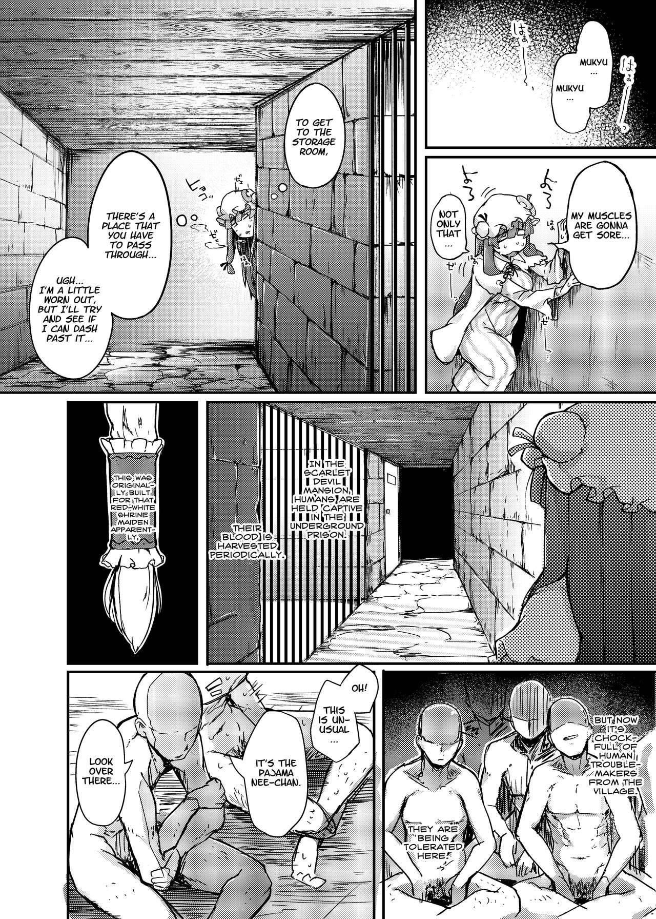 [Jikahatsudensho (flanvia)] Ana to Muttsuri Dosukebe Daitoshokan | The Hole and the Closet Perverted Unmoving Great Library (Touhou Project) [English] [Nisor] [Digital]