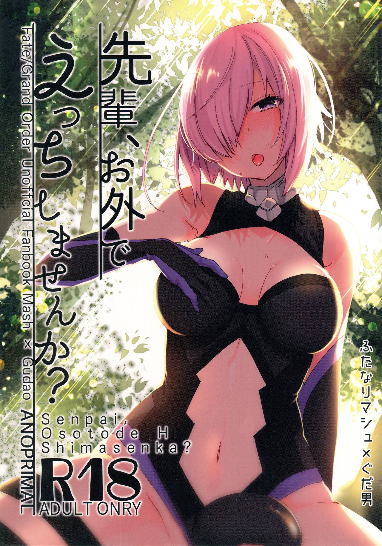 (C93) [Anoprimal (Anoshabu)] Senpai, Osoto de H Shimasenka? (Fate/Grand Order)