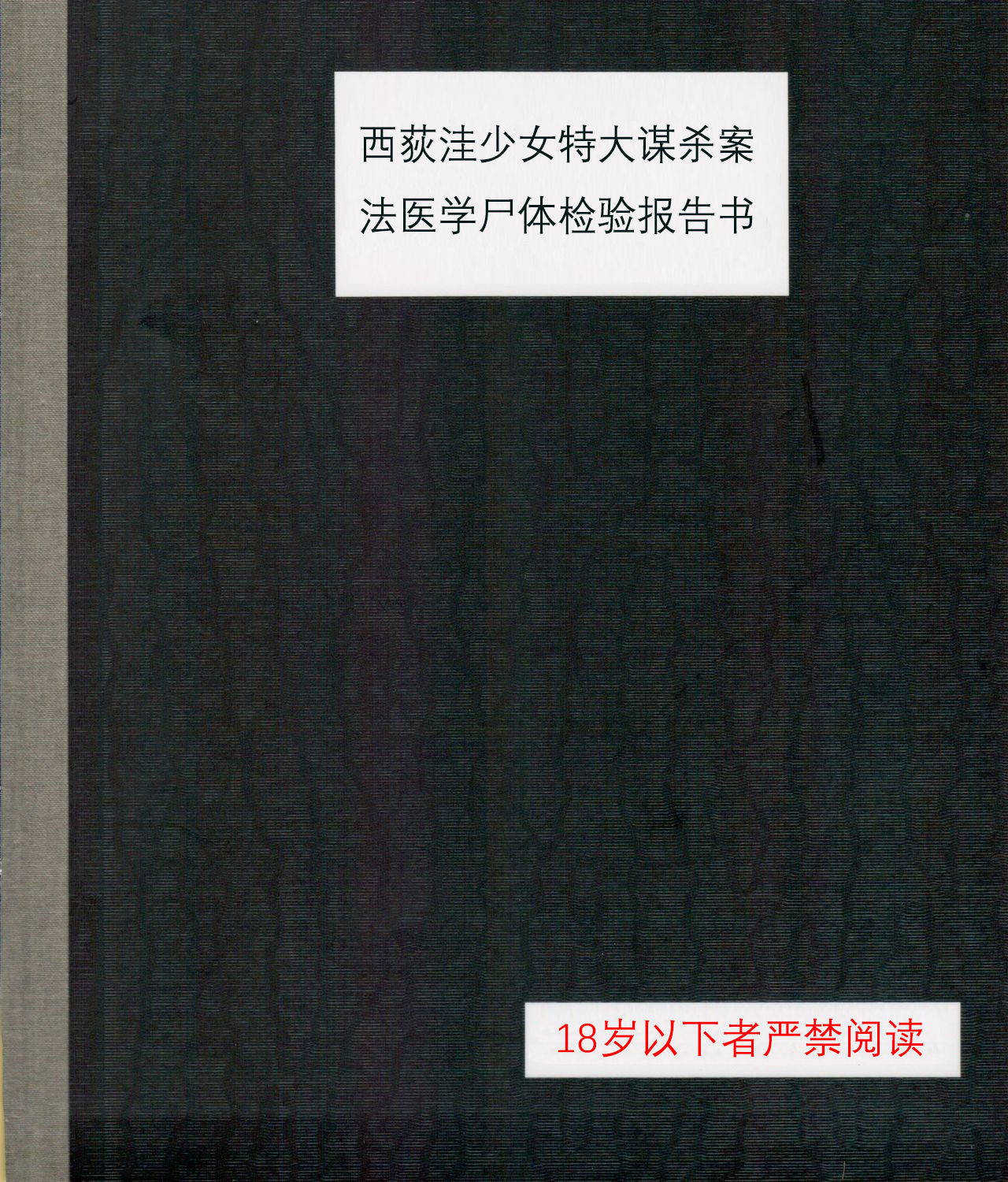 (C95) [02 (Harasaki)] Nishiogikubo Shoujo Satsugai Jiken Shihou Kaibou Kiroku| (C95)西荻洼少女特大谋杀案法医学尸体检验报告书[个人翻译][中文翻译]