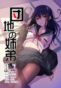 (COMITIA128) [Otomekibun (Sansyoku Amido.)] Danchi no Kyoudai [Chinese] [绅士仓库汉化]