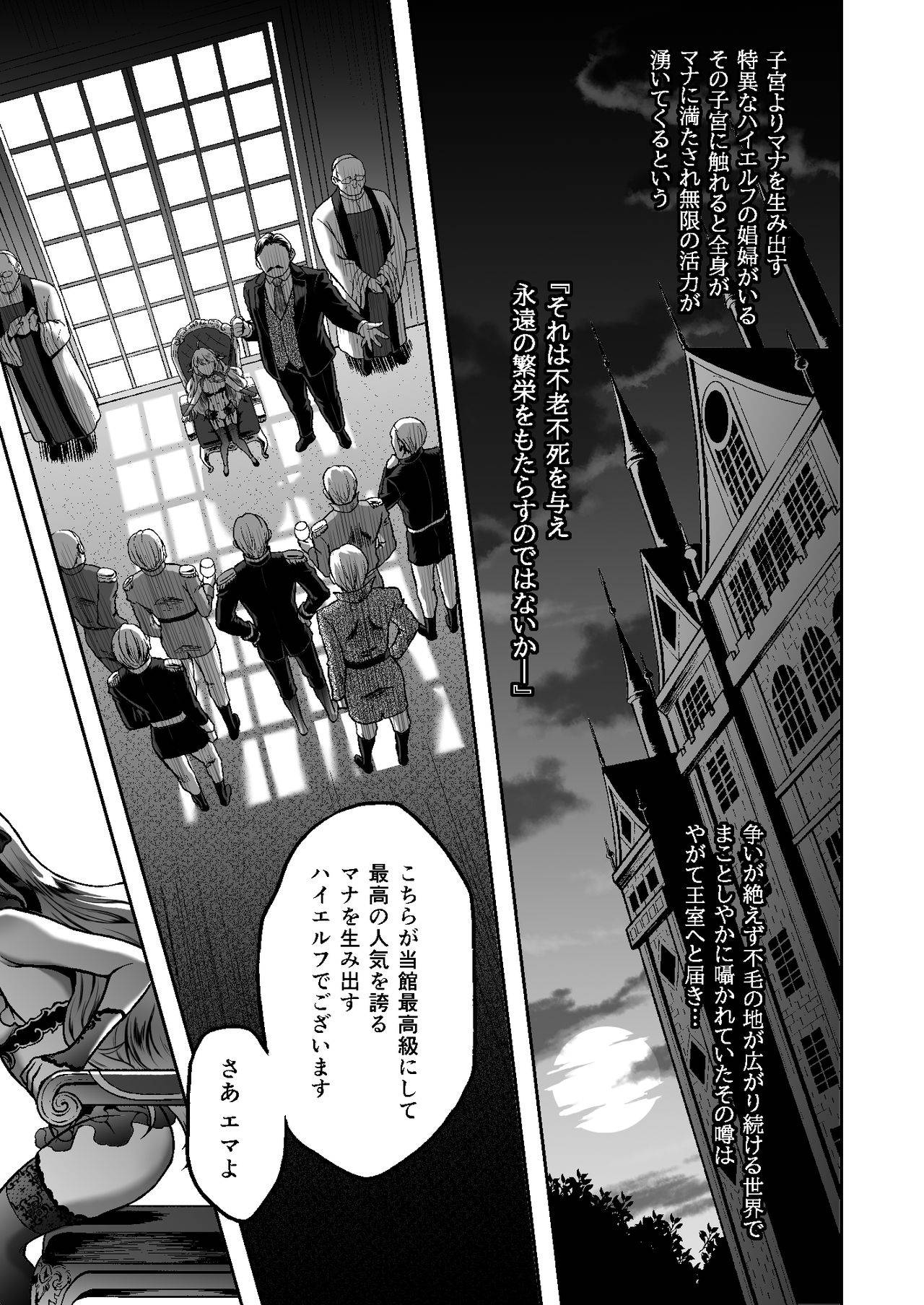 [H.B.A (Usagi Nagomu)] Tasogare no Shou Elf 6 - The story of Emma's side [Digital]