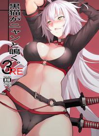 [IRON GRIMOIRE (SAKULA)] Kuroneko ga Nyan to Naku. 3RE | The Black Cat Goes Nya 3RE (Fate/Grand Order) [English] {Doujins.com} [Digital]