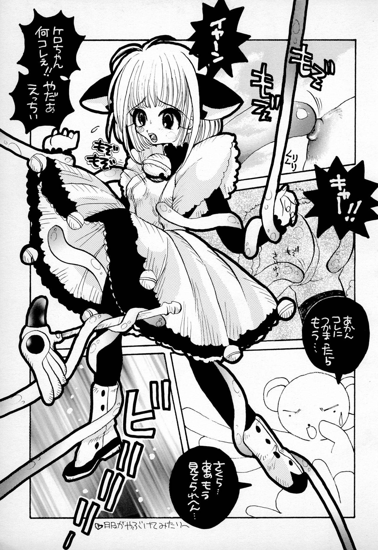 (C52) [PONPALAS (Asai Ichiko)] PAISLAY PARK (Card Captor Sakura)