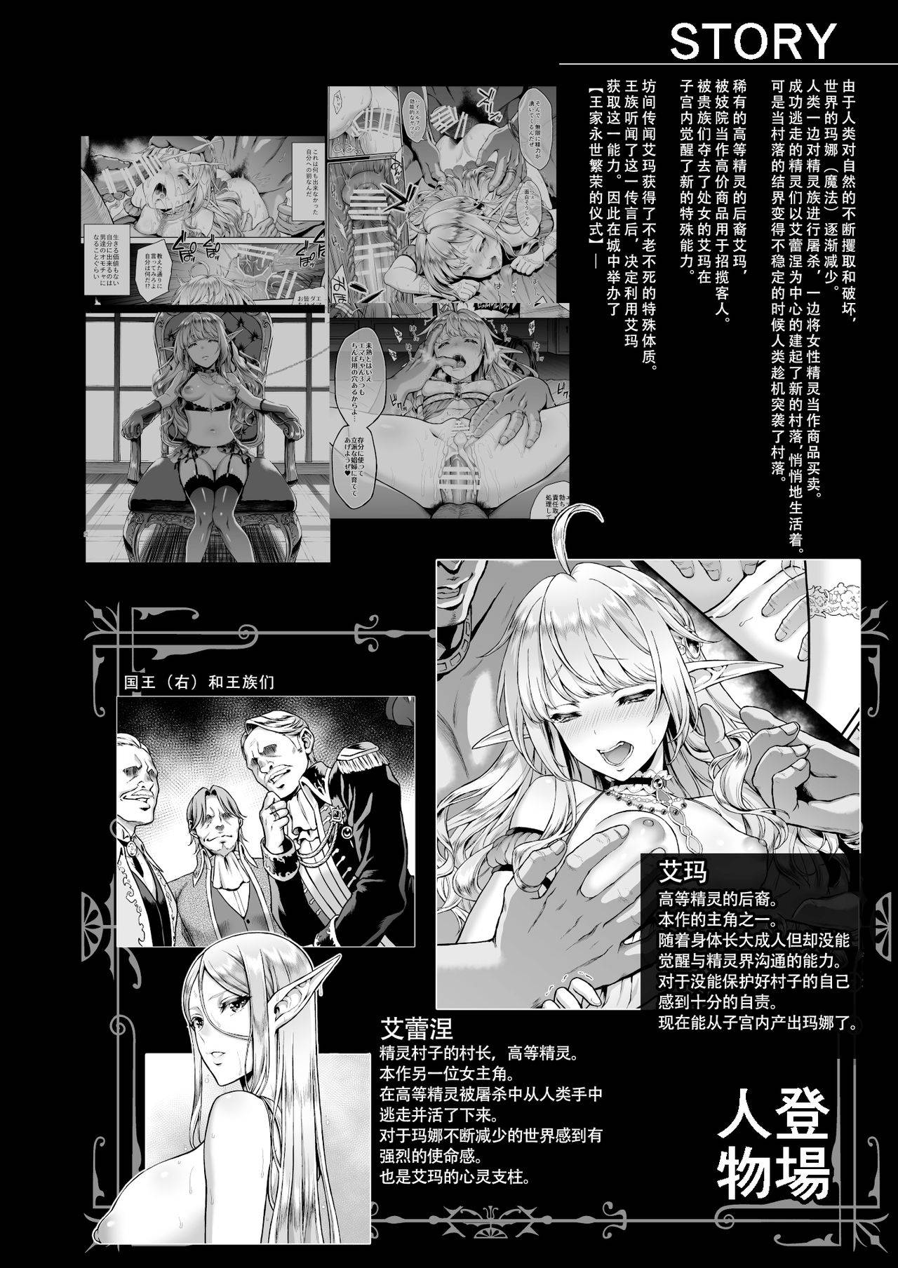 [H.B.A (Usagi Nagomu)] Tasogare no Shou Elf 6 - The story of Emma's side [Chinese] [胸垫汉化组] [Digital]