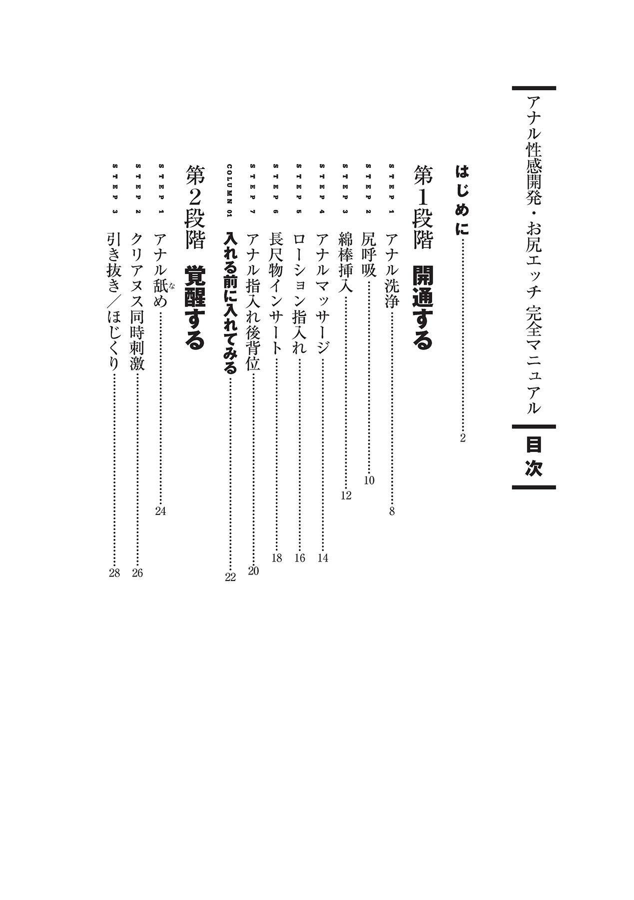 アナル性感開発・お尻エッチ 完全マニュアル