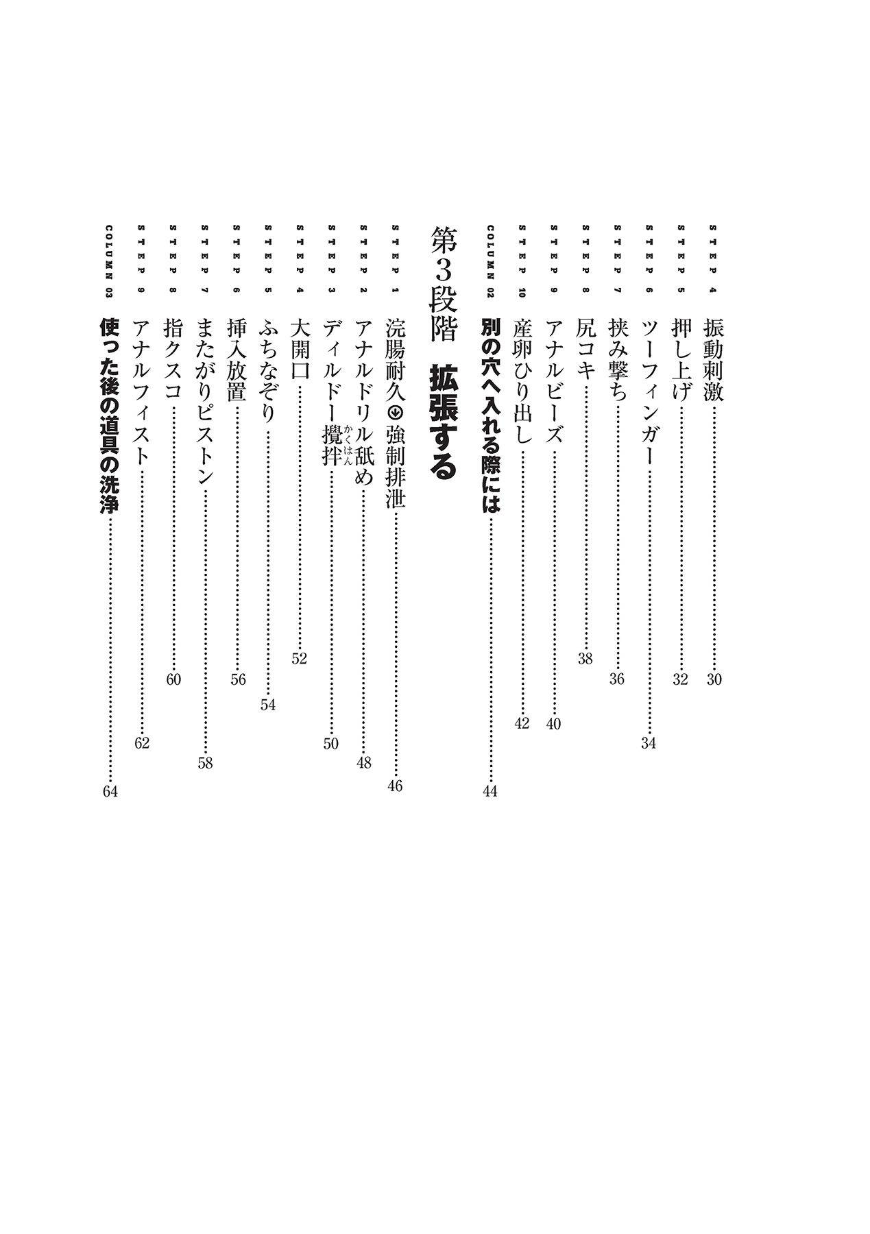 アナル性感開発・お尻エッチ 完全マニュアル