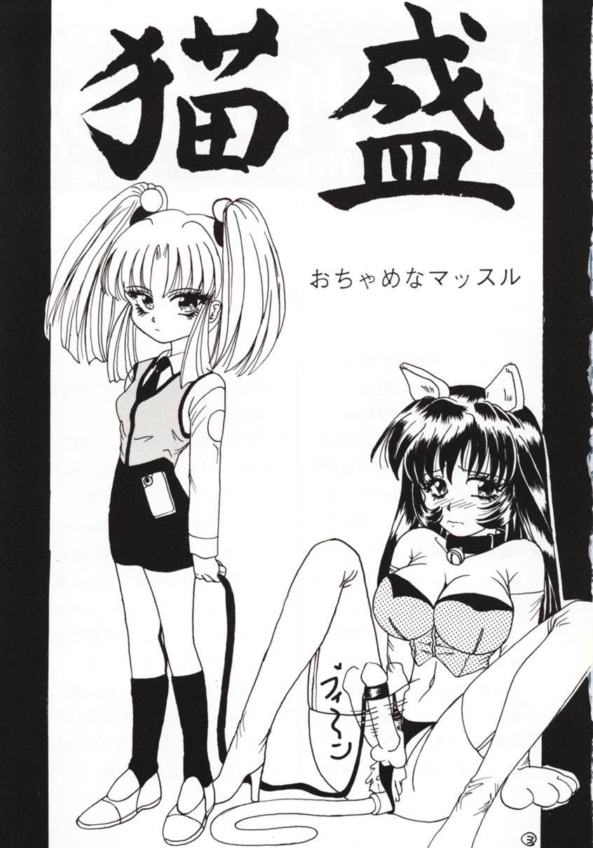 (C51) [Ochamena Muscle (Miyabe Tomaru, T-DROP)] Neko Zakari (Martian Successor Nadesico)