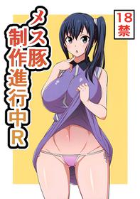 (C89) [Mattari House (Aitsu)] Mesu Buta Seisaku Shinkouchuu R (SHIROBAKO) [Chinese] [空中貓個人製作]