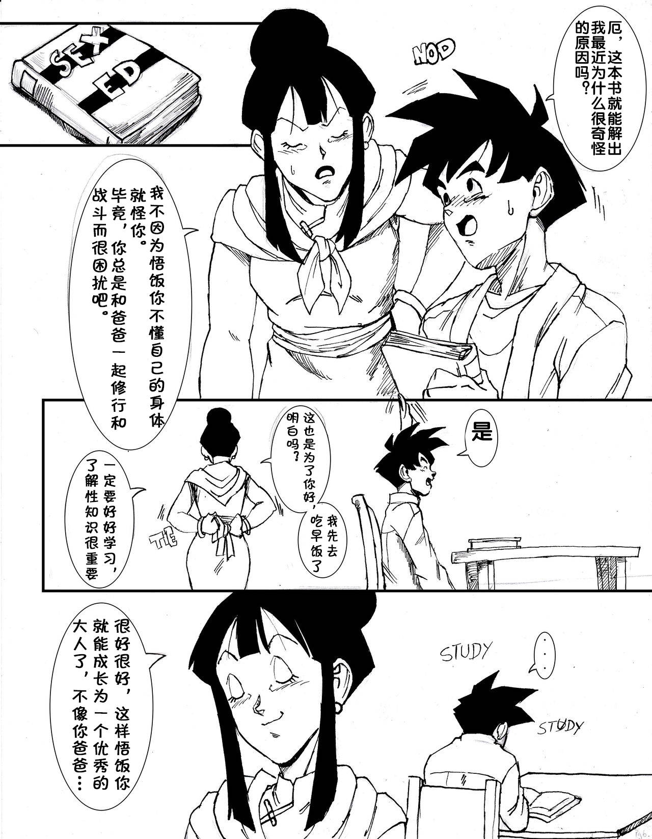 [Aarokira] GohanXChichi (Dragon Ball)[Chinese][流木个人汉化]