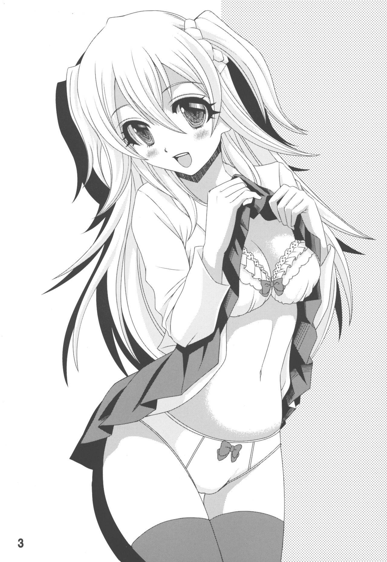 (C89) [Shain No Shoujo (Hiro)] Kirin no Onegai (The Asterisk War)