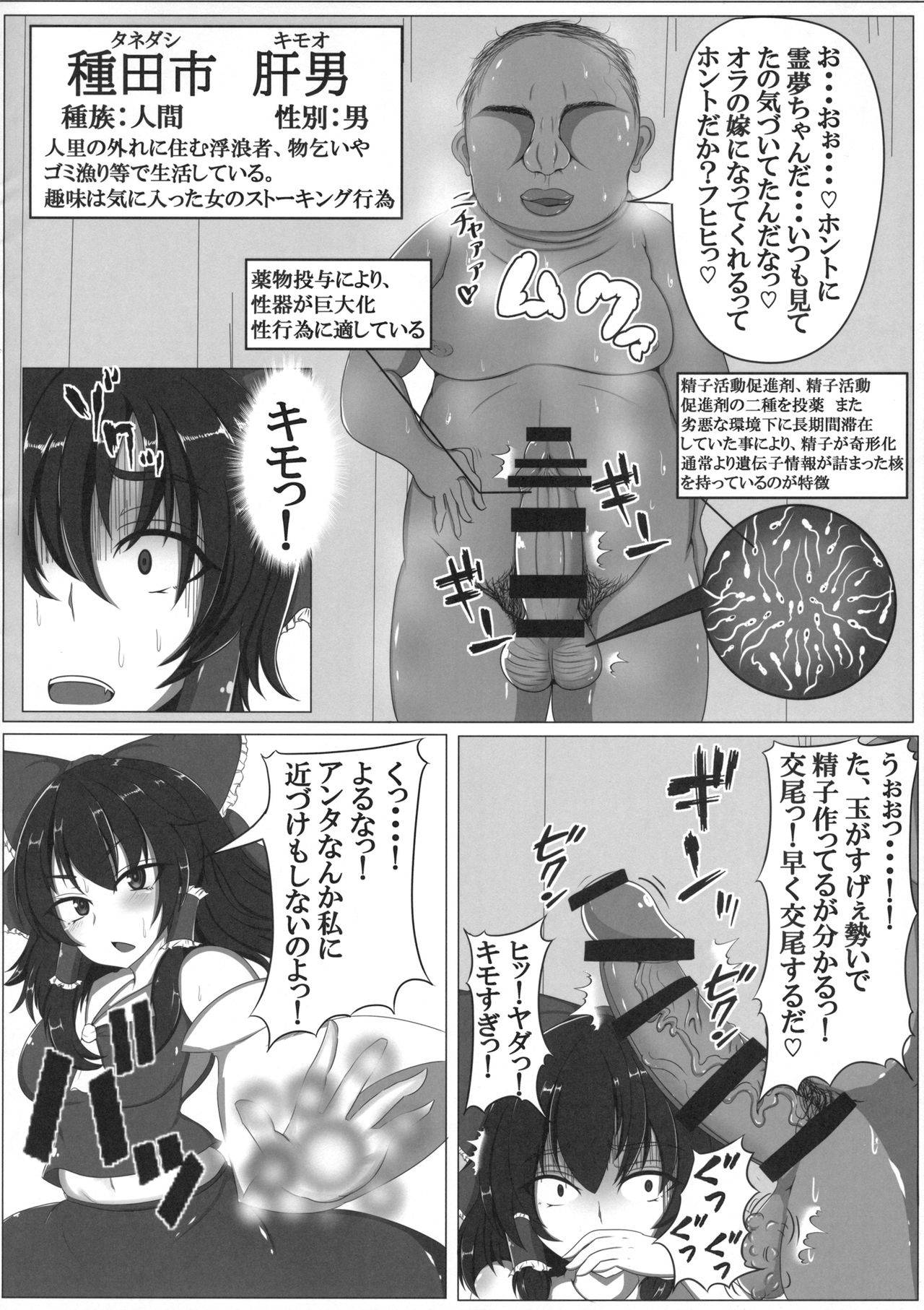 (同人誌) [銀杏重工] 東方婚姻録～博麗霊夢編～ (東方) (エロ)