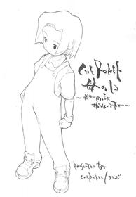 (CR27) [CHEROKEE (Maeda)] CHEROKEE Haha no Hi - Katte ni Doujinshi Sutenai de Kudasai - (Medabots)