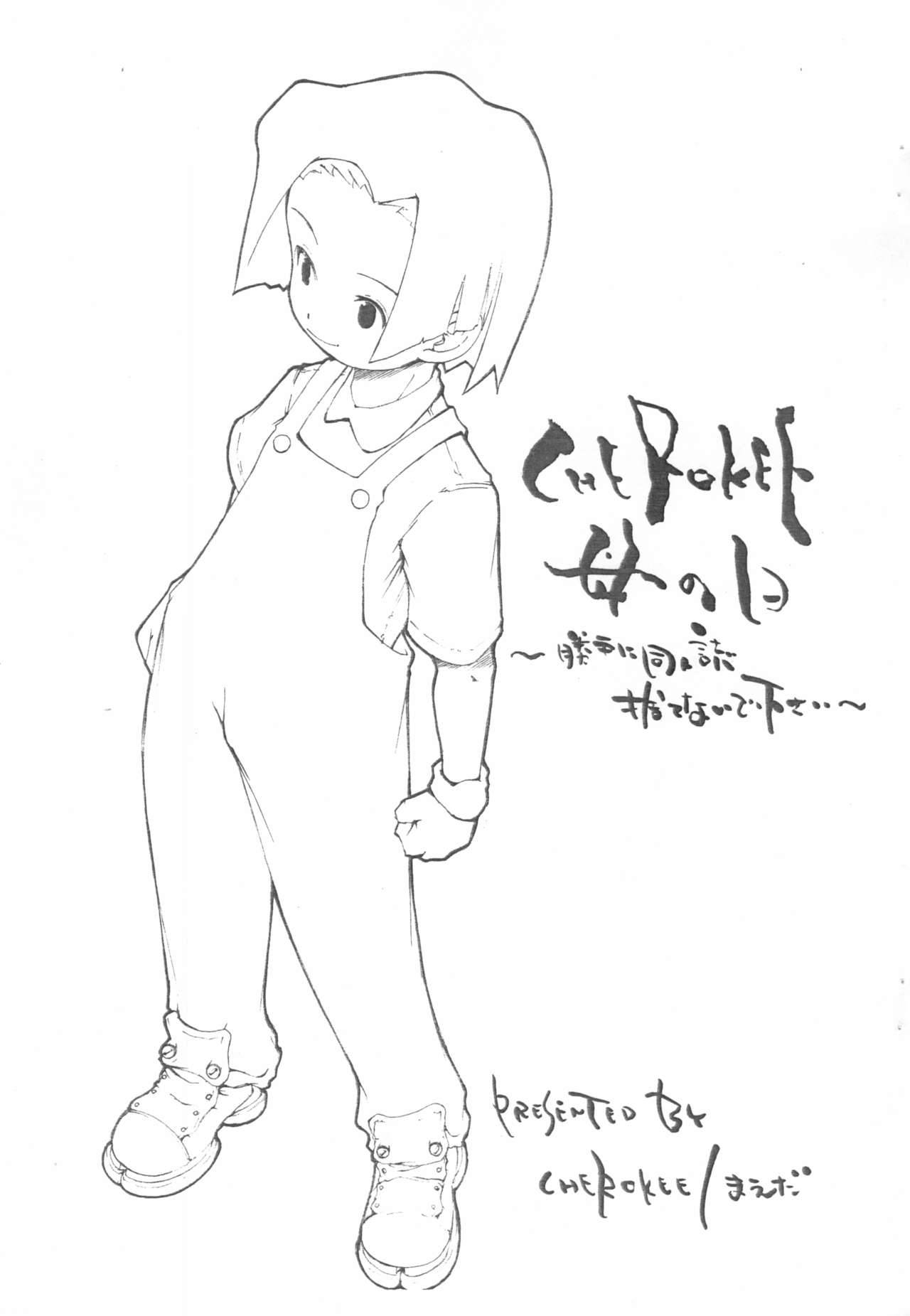 (CR27) [CHEROKEE (Maeda)] CHEROKEE Haha no Hi - Katte ni Doujinshi Sutenai de Kudasai - (Medabots)