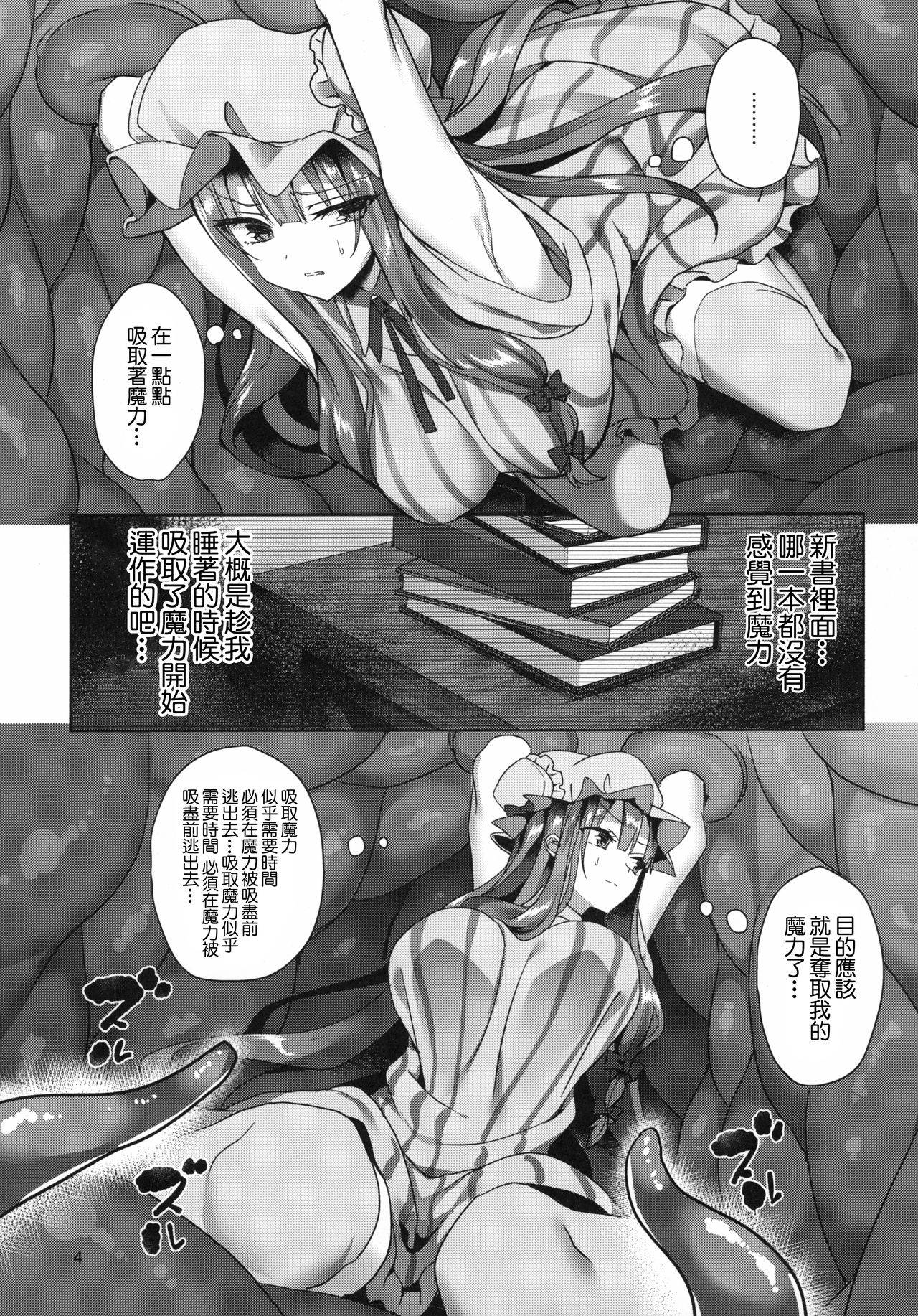 (C96) [NERCO (Koikawa Minoru)] Hon to Shokushu to Daitoshokan (Touhou Project) [Chinese] [黑暗月光石]