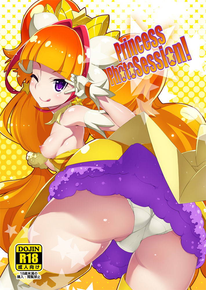 (COMIC1☆9) [Miyanchi (Miyagoe Yoshitsuki)] Princess Photo Session! (Go! Princess PreCure) [Digital]