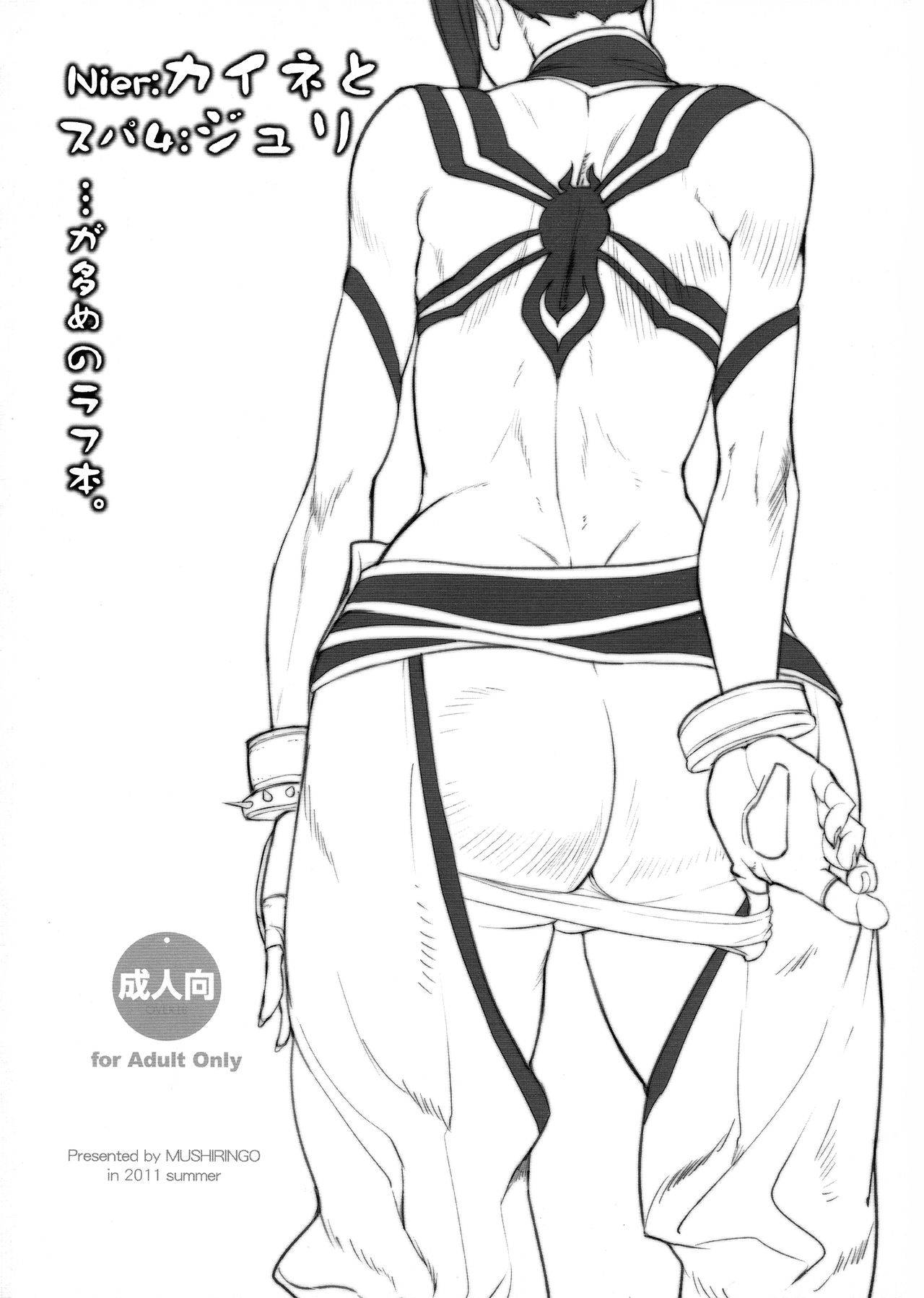 (C80) [MUSHIRINGO (Ashiomi Masato, Tamanpo)] Nier: Kaine to Super 4: Juri ga Oume no Rough Hon (NieR Replicant, Street Fighter)