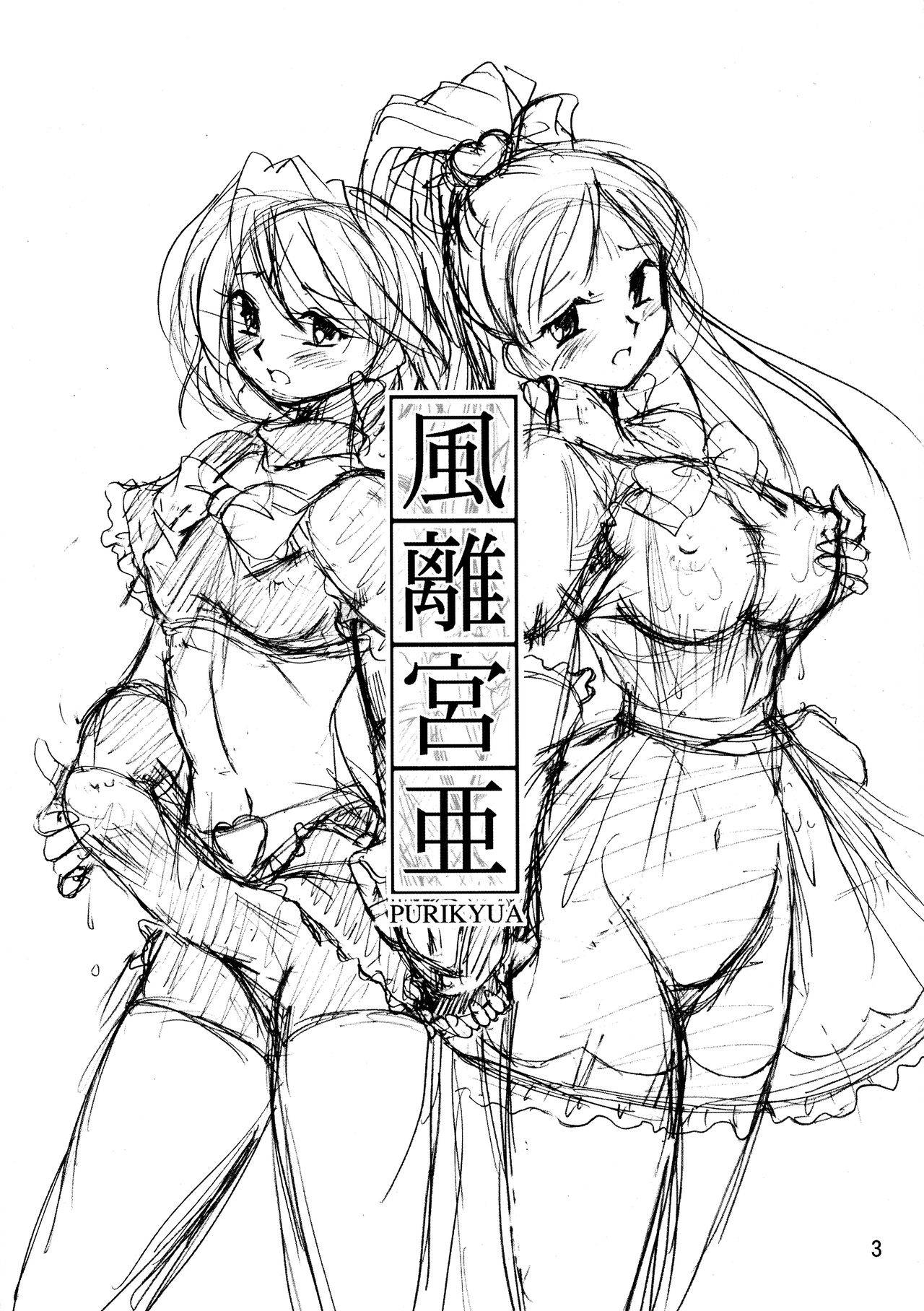 (C66) [Henachoko Domei (Yapi)] Kazariya (Futari wa Precure)