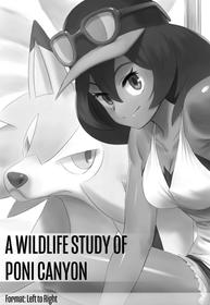 [Jiffic] A Wildlife Study of Poni Canyon (Pokemon Sun & Moon)