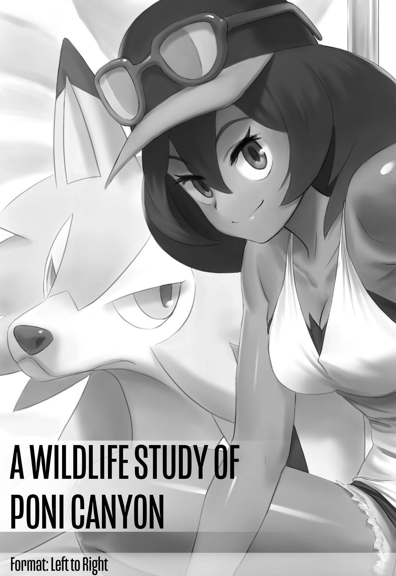 [Jiffic] A Wildlife Study of Poni Canyon (Pokemon Sun & Moon)