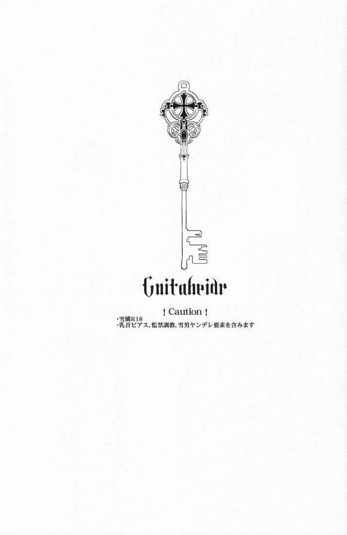 (C81) [FIZZCODE (Satonishi)] Gnitaheidr (Ao no Exorcist) [English] [mysterymeat3]