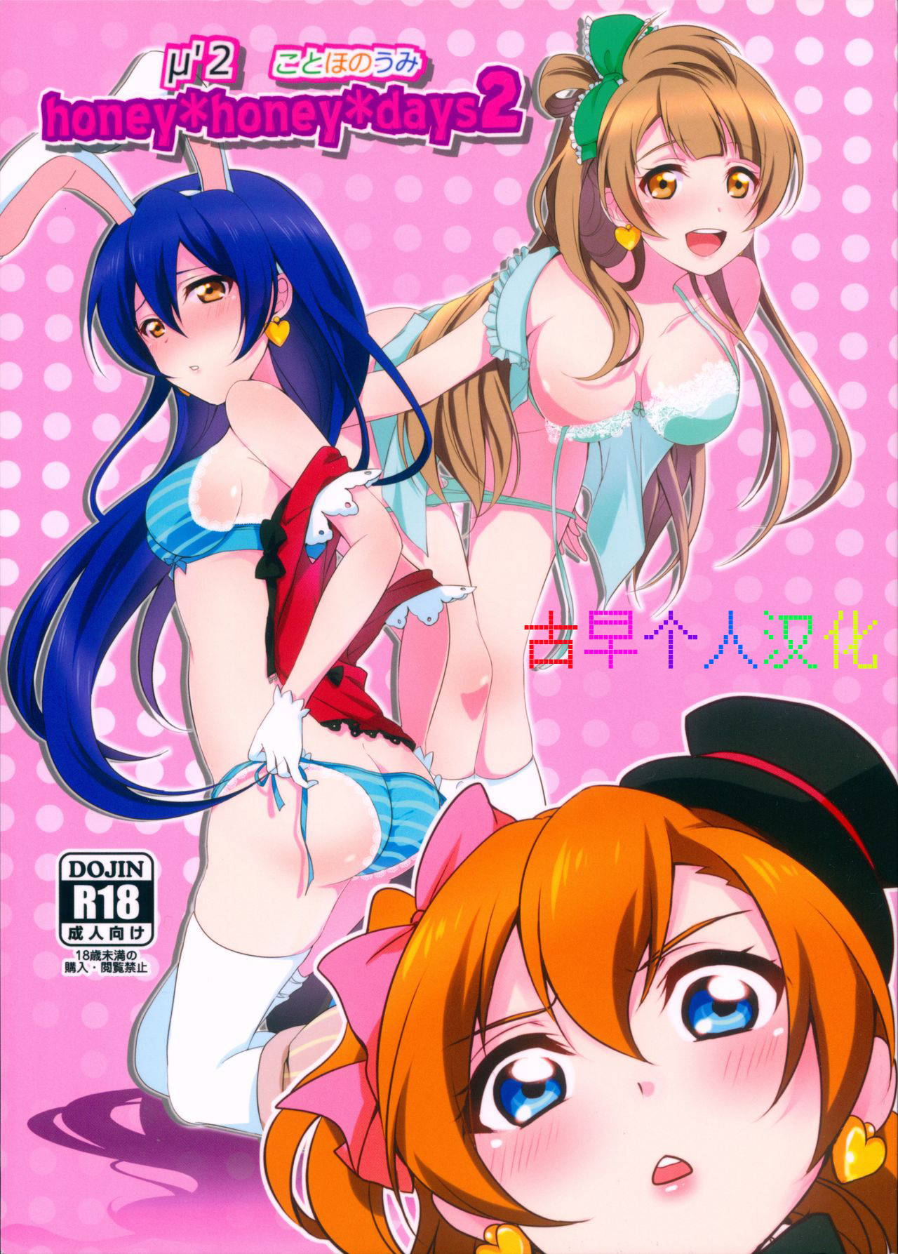 (C90) [Fukurou no Yuubinya san (Ueto Ruri)] honey*honey*days2 (Love Live!) [Chinese] [古早个人汉化]