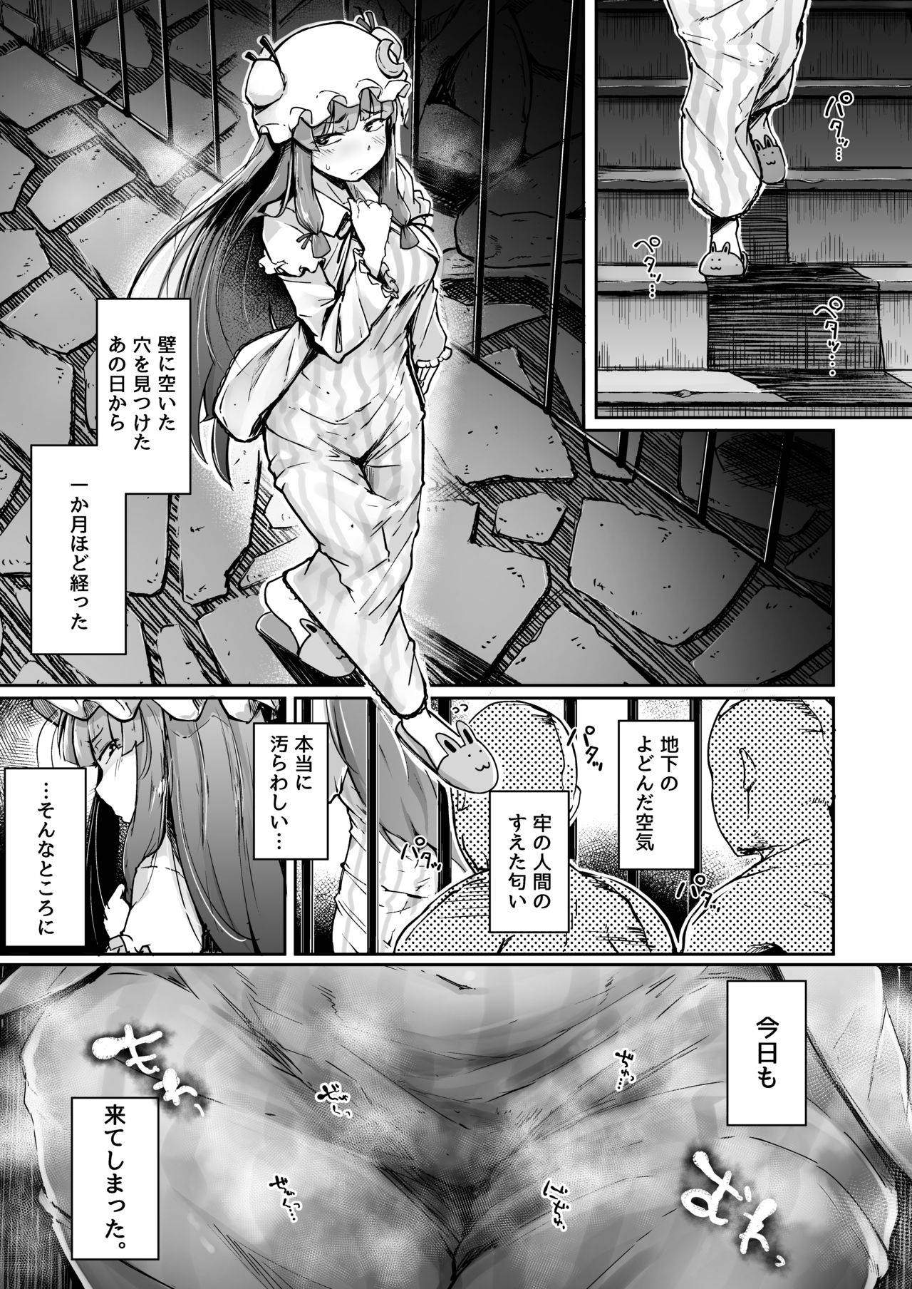 [Jikahatsudensho (flanvia)] Ana to Muttsuri Dosukebe Daitoshokan 2 (Touhou Project) [Sample]