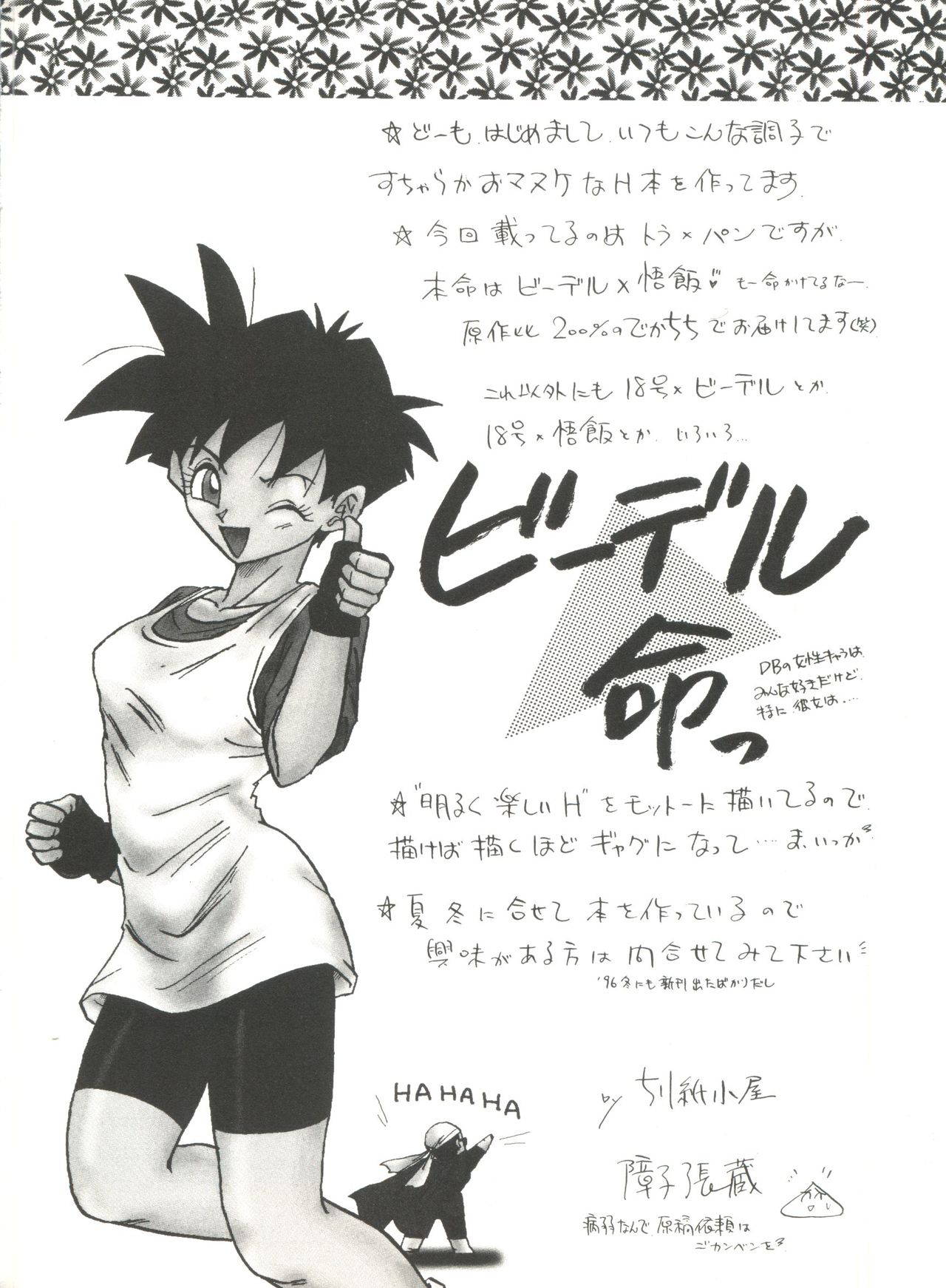 [Chirigami Goya, Fusuma Goten (Shouji Haruko)] Adventure GT (Dragon Ball GT)(English)