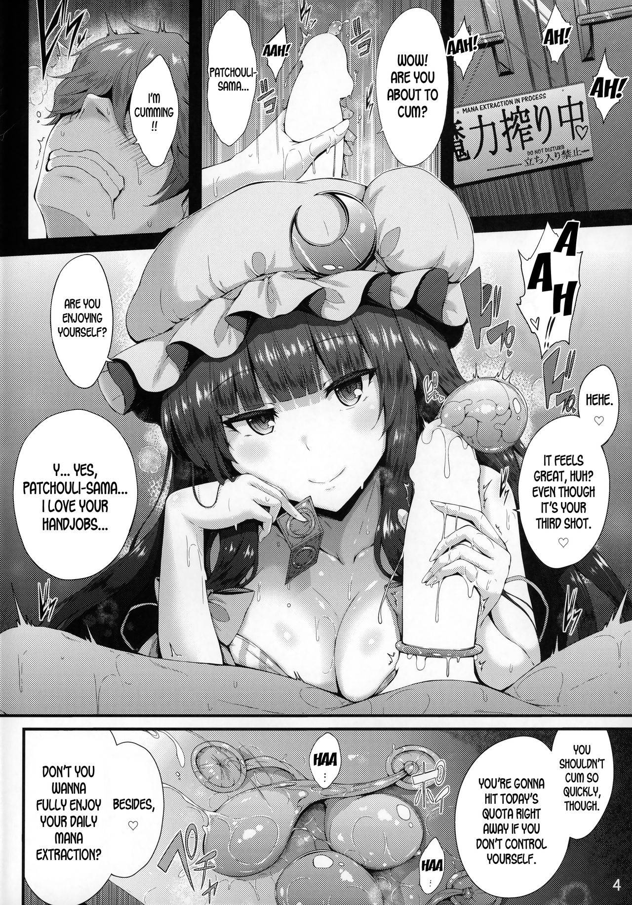 (C96) [YuKi-IRo (Yukiusagi.)] Maryoku Shibori (Touhou Project) [English] [desudesu]