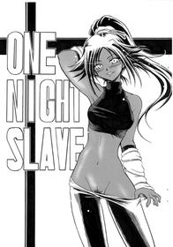 [Tsuji Andon (Tujikaze)] ONE NIGHT SLAVE (Bleach)