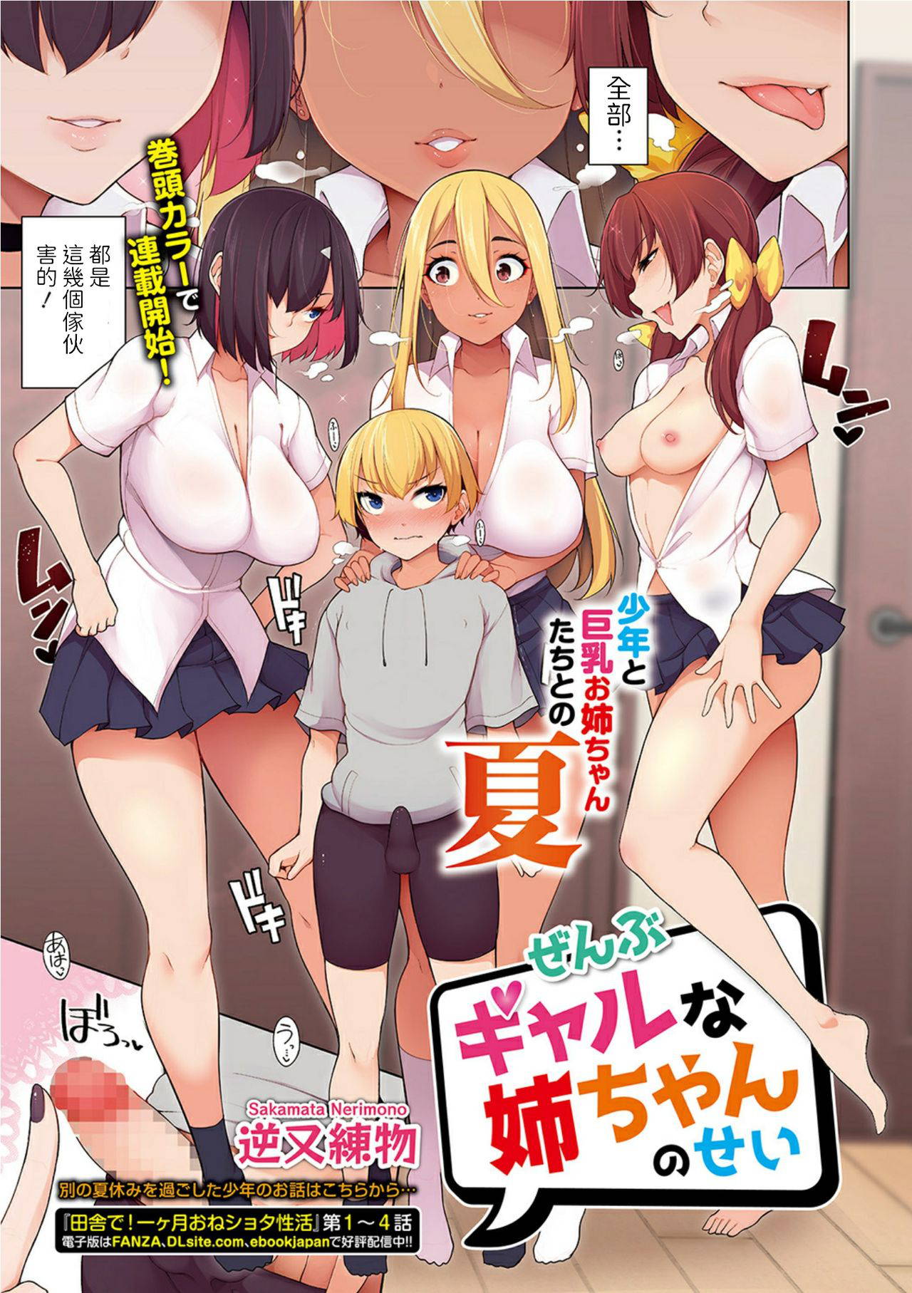 [Sakamata Nerimono] Zenbu Gal na Nee-chan no Sei (COMIC Shigekiteki SQUIRT!! Vol. 19) [Chinese] [Digital]