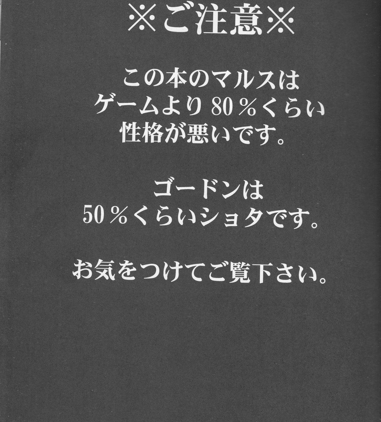 (滋養狂騒) お許しください、マルス様 (Fire Emblem)