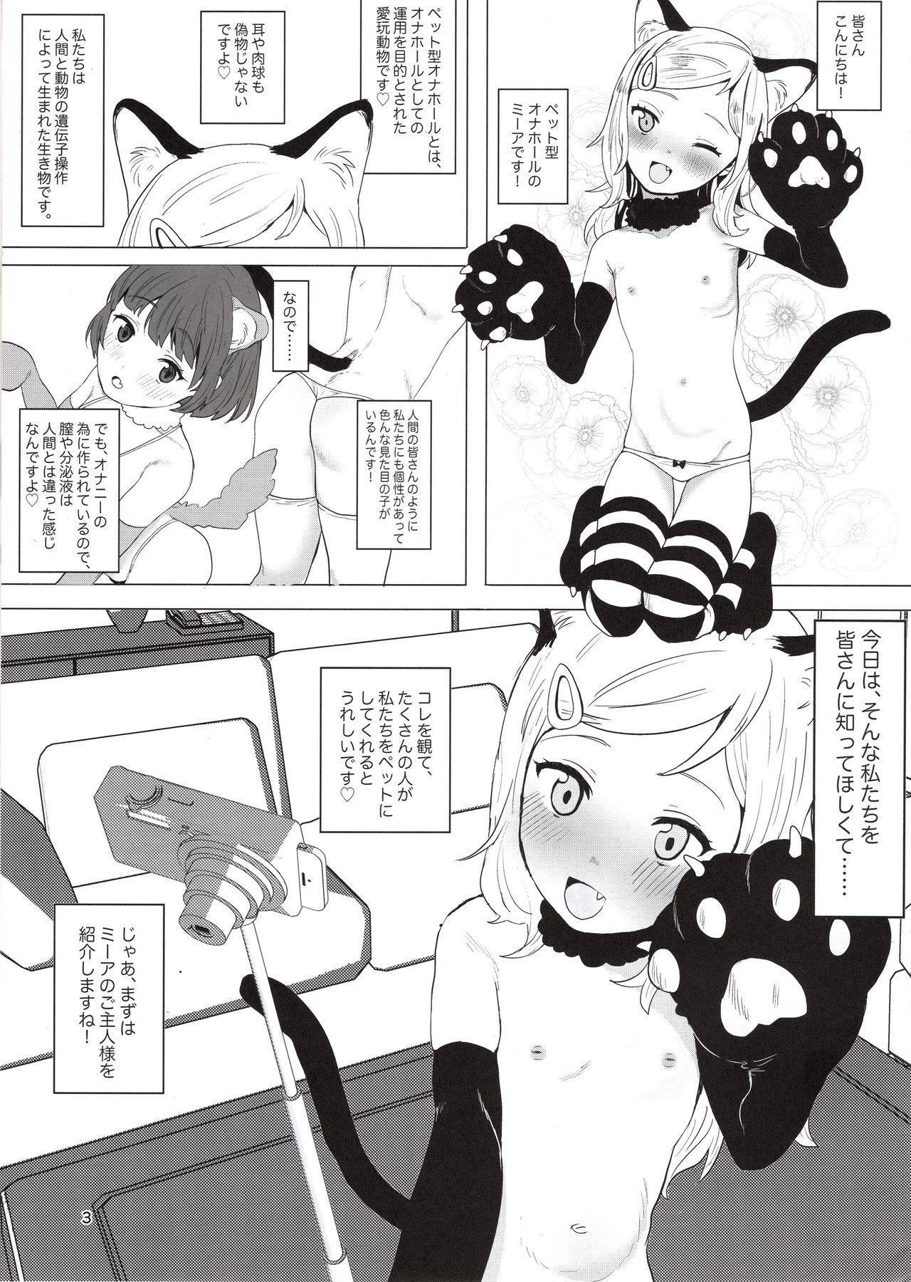 (COMIC1☆17) [Inmou Choregi Salad (Inchore)] Onaho to Shite Shoujo o Kaeru Tanoshii Sekai