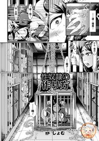 [Shomu] Seidorei no Tsukurikata (Kabe ni Umekomareta Shoujo de Seiyoku Shori Vol. 2) [Chinese] [黑条汉化] [Digital]