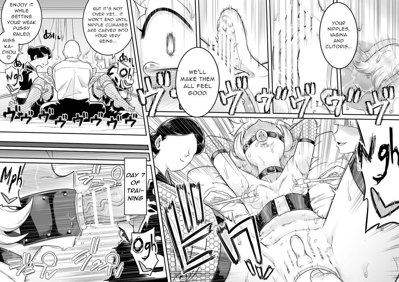 [Shine Nabyss] Kachou Seidorei Choukyou 2 (Hunter x Hunter) [English] [gentletemptl]