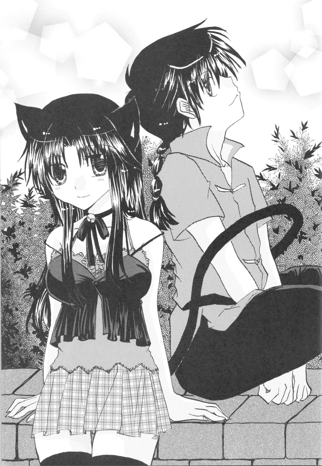 [RxA Supremacist (Yagami Raimu, Morisaki Yoshino, Kisaragi Mizuka)] Iinazuke ga Neko ni Narimashite. (Ranma 12)