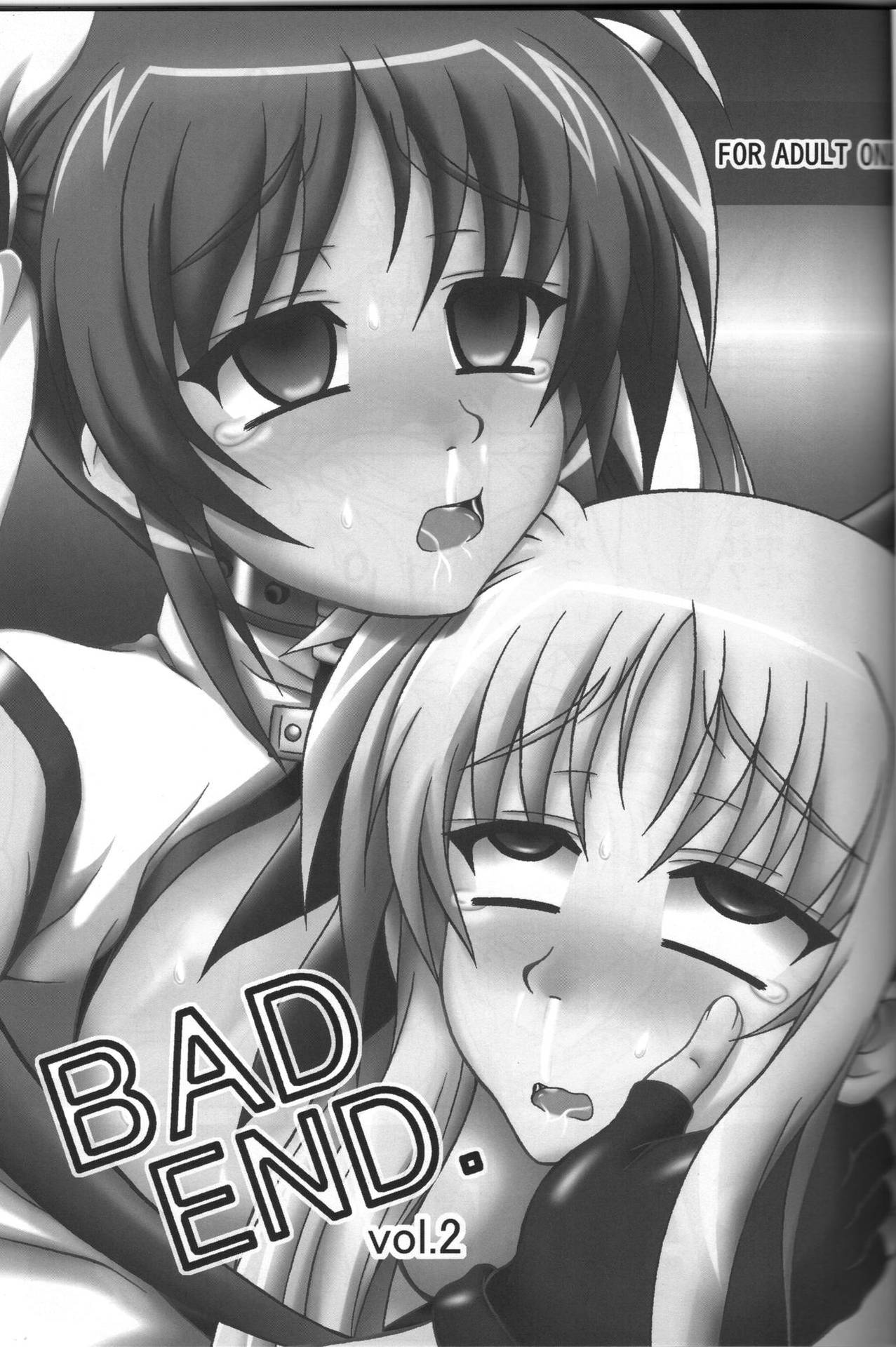 [REDBELL (Akazawa Fuyuki)] BAD END. vol.2  (Mahou Shoujo Lyrical Nanoha)