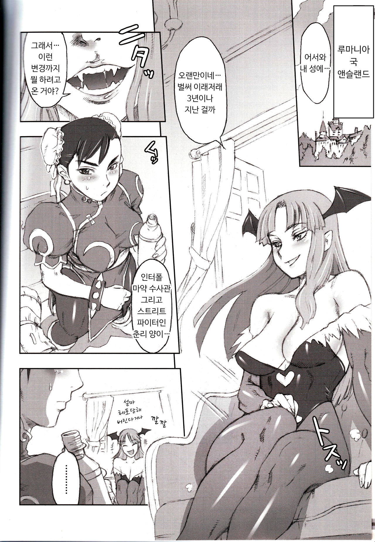 (C70) [Niku Ringo (Kakugari Kyoudai)] NIPPON Onna HEROINE 2 (Darkstalkers, Street Fighter) [Korean]