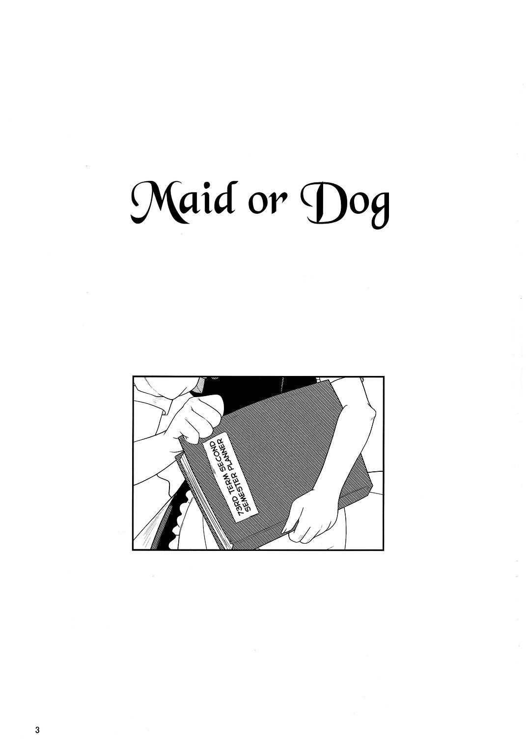 (C81) [LeimkissA (Nekohane Ryou)] Maid or Dog (Touhou Project) [English] [hardcase8translates]