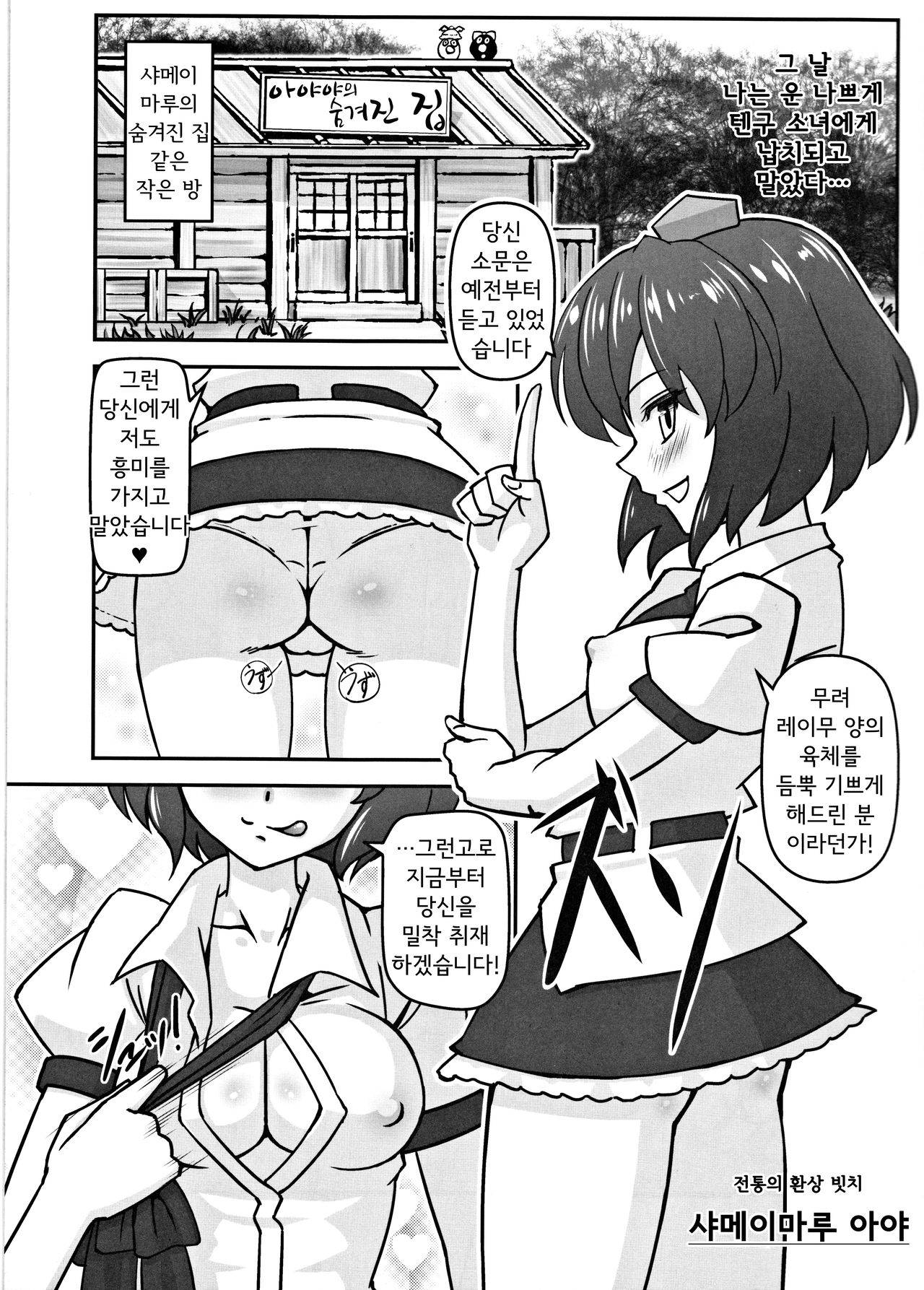 (C79) [Galaxy Monooki (Hanazuka Ryouji)] Bitch Spoilerㅣ빗치 스포일러 (Touhou Project) [Korean]