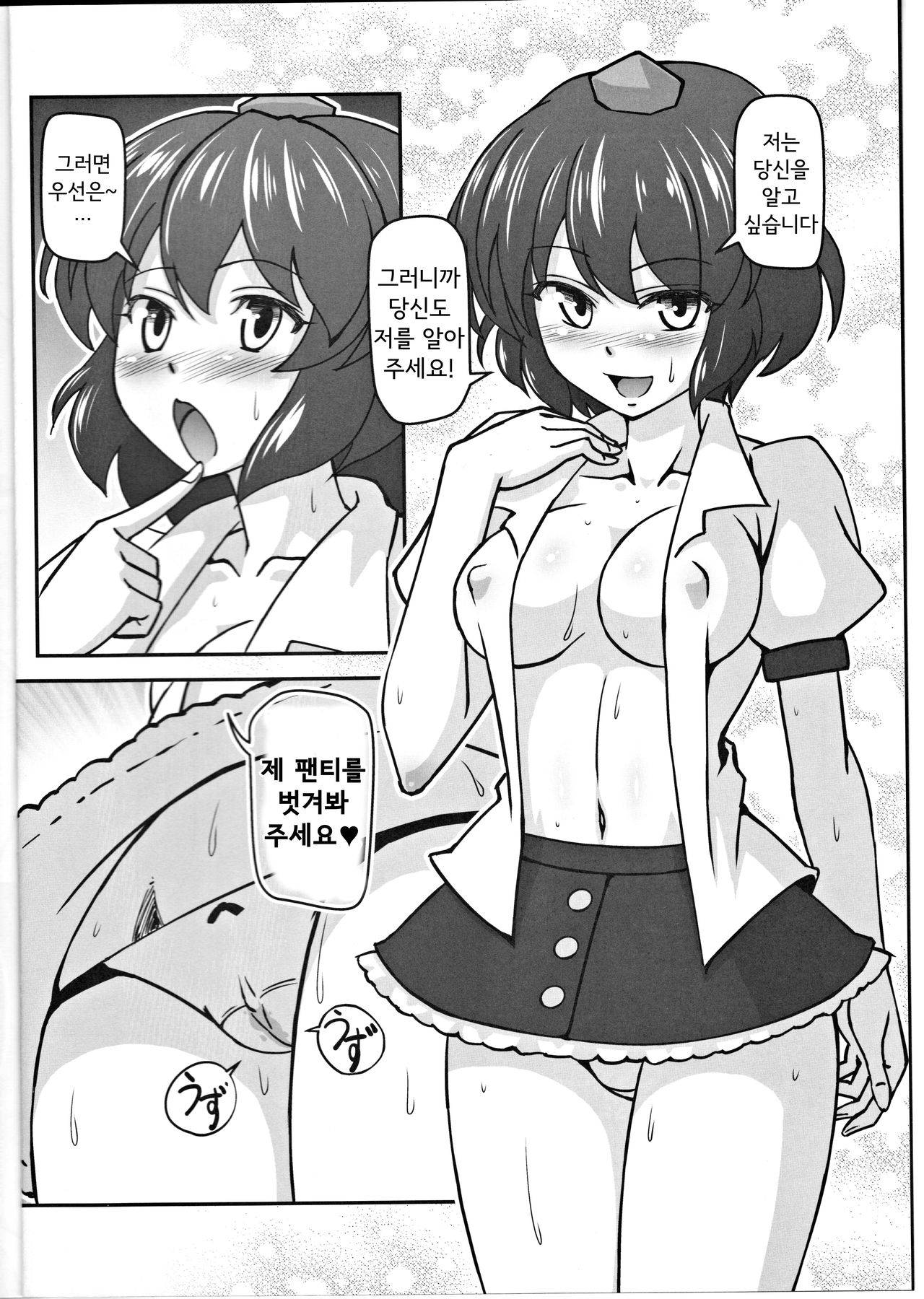 (C79) [Galaxy Monooki (Hanazuka Ryouji)] Bitch Spoilerㅣ빗치 스포일러 (Touhou Project) [Korean]