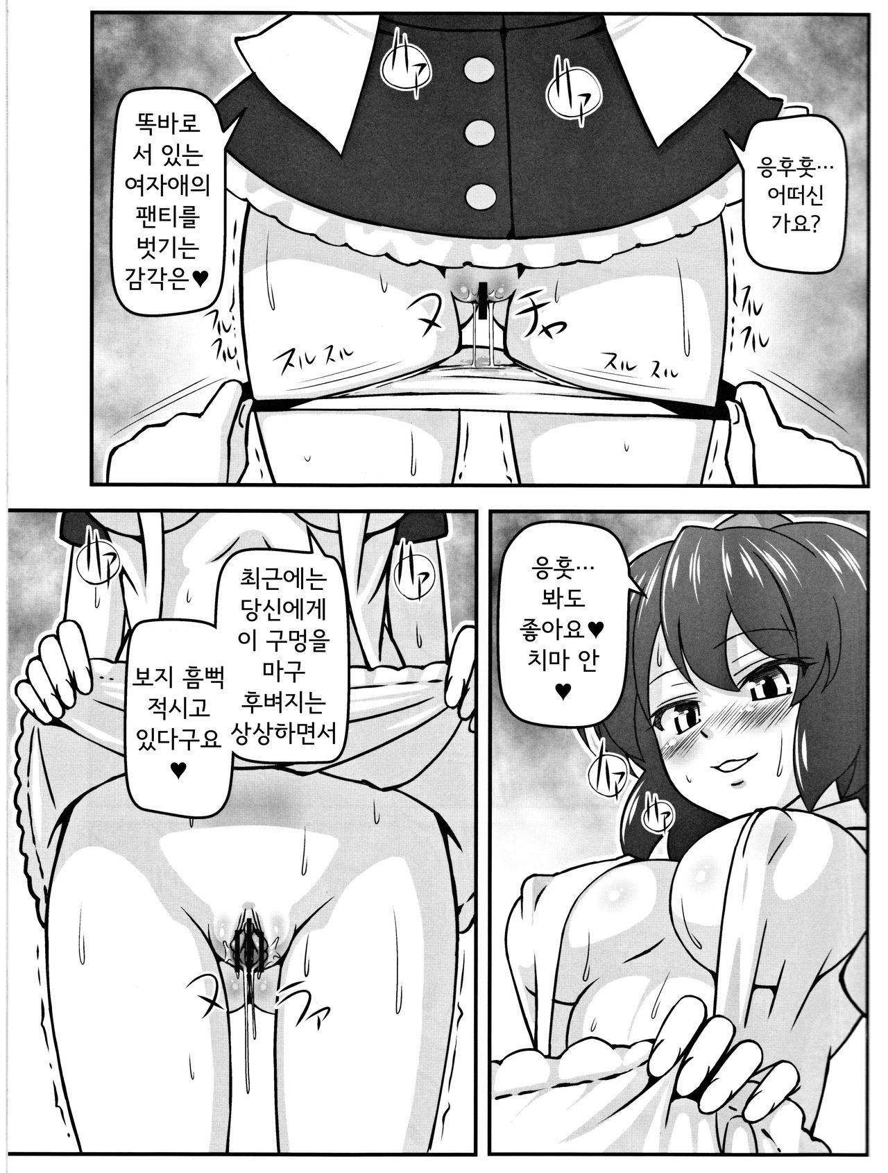 (C79) [Galaxy Monooki (Hanazuka Ryouji)] Bitch Spoilerㅣ빗치 스포일러 (Touhou Project) [Korean]